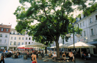 Le marché St. Johann