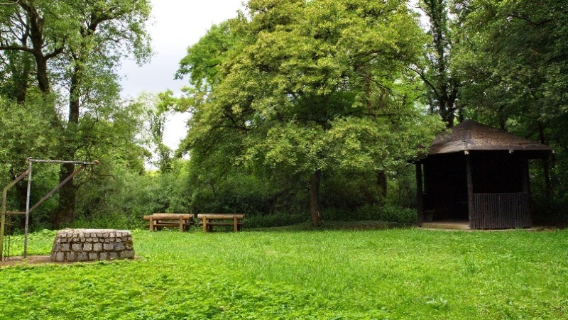 Grillstelle im Hahnbüsch