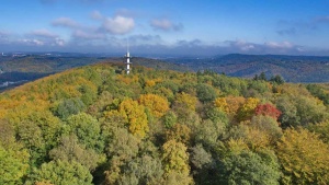 Blick vom Schwarzenbergturm auf den Stadtwald im Herbst (Foto: Ralf Blechschmidt)