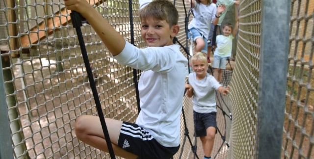 Des enfants dans un parc d'aventure