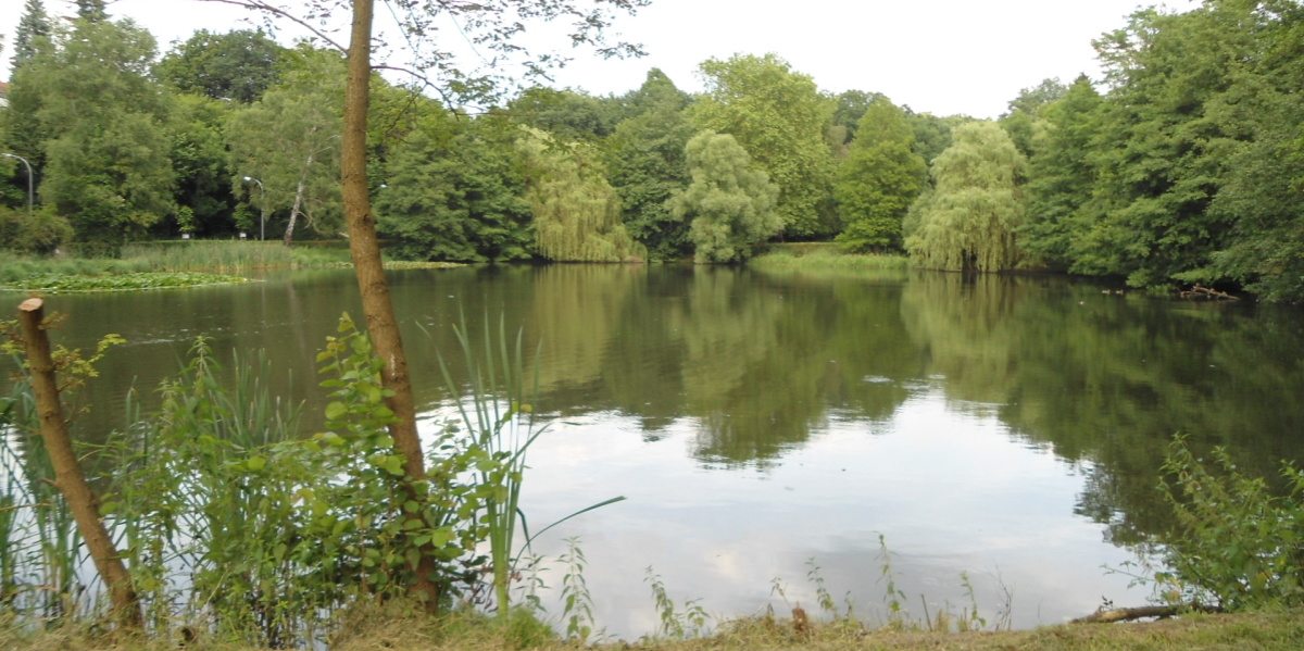 Prinzenweiher Prinzenweiher