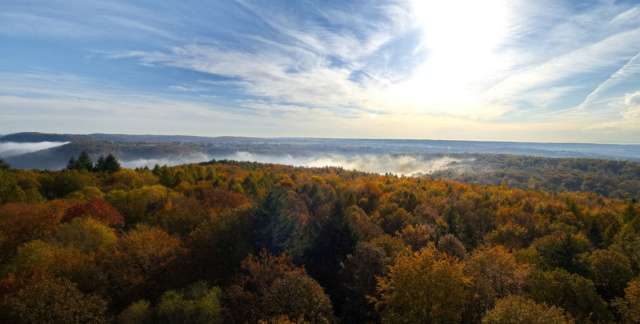 View from Schwarzenberg tower towards Ensheim