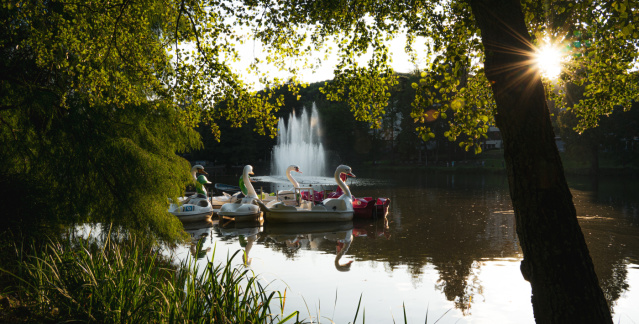 Deutsch-Französischer Garten Deutsch-Französischer Garten
