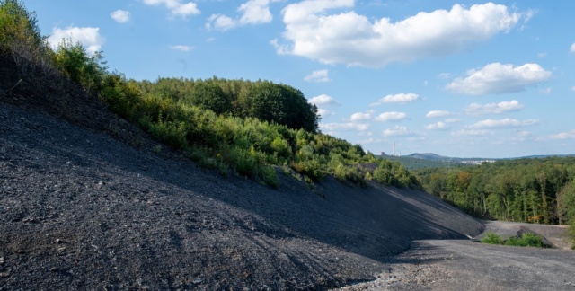 Spitzkegelhalde der ehemalige Grube Camphausen