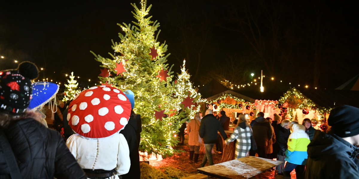 Beleuchtete Tannenbäume, ringsum Menschen, vorne links ein als Fliegenpilz verkleideter Mensch von hinten