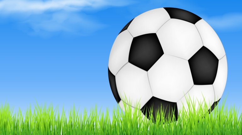 Ein Fußball auf einer Wiese