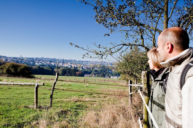 Der Frohn Wald Weg Tourismus